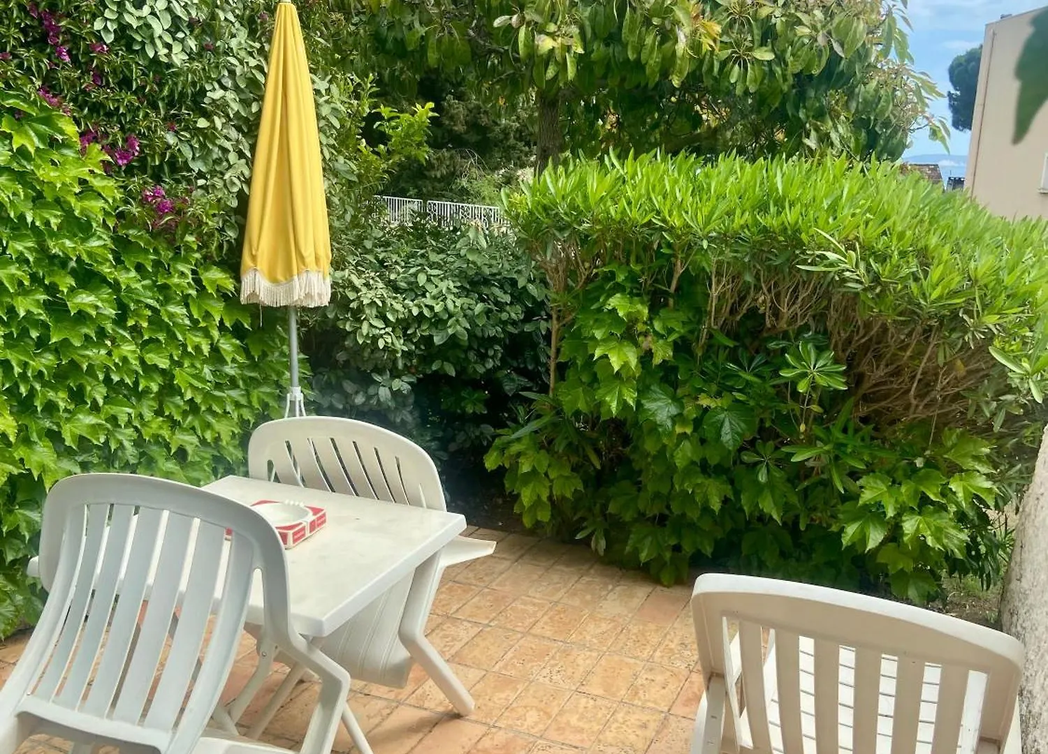 Hotel Les Alcyons Le Lavandou