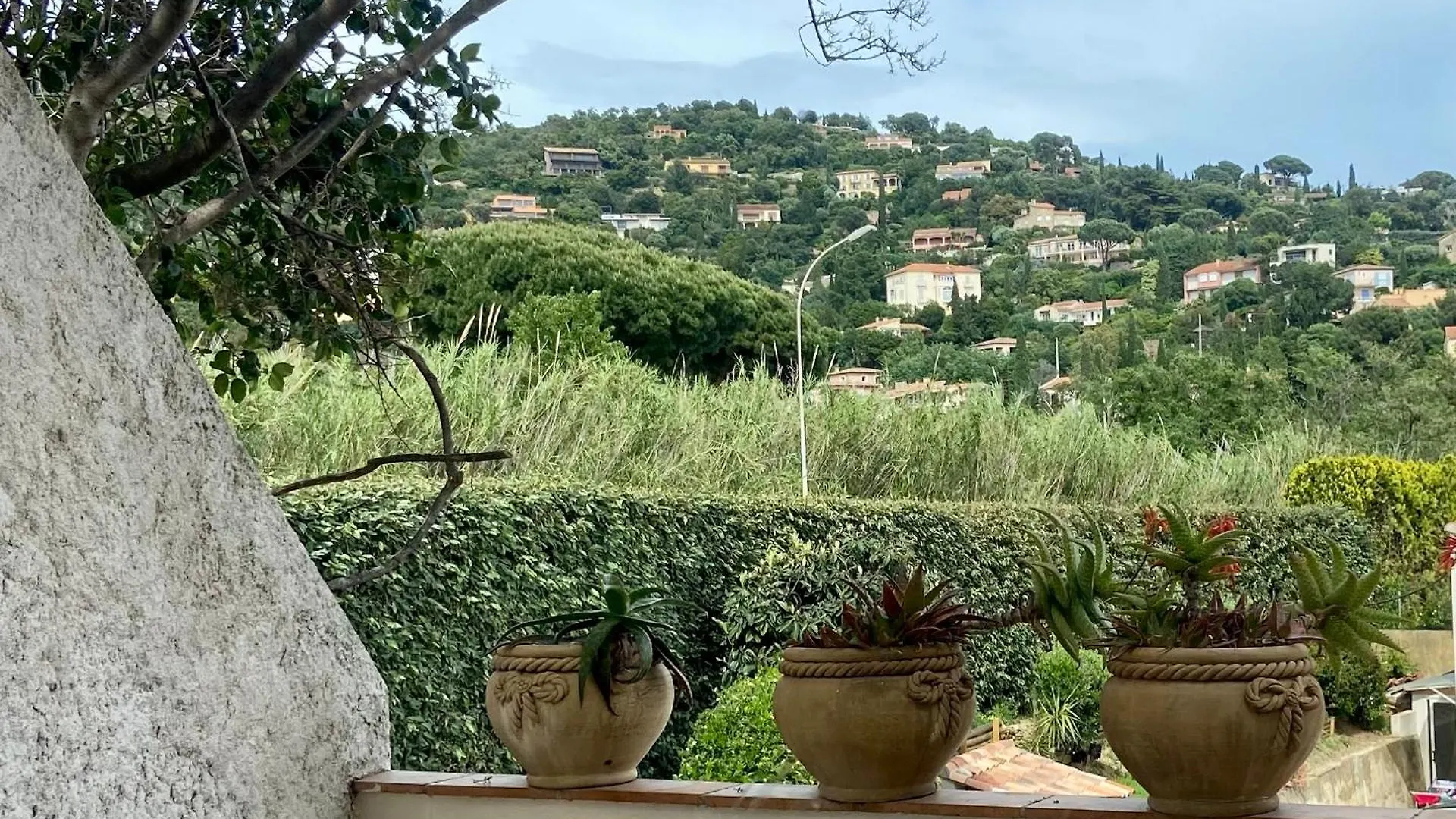 Hotel Les Alcyons Le Lavandou