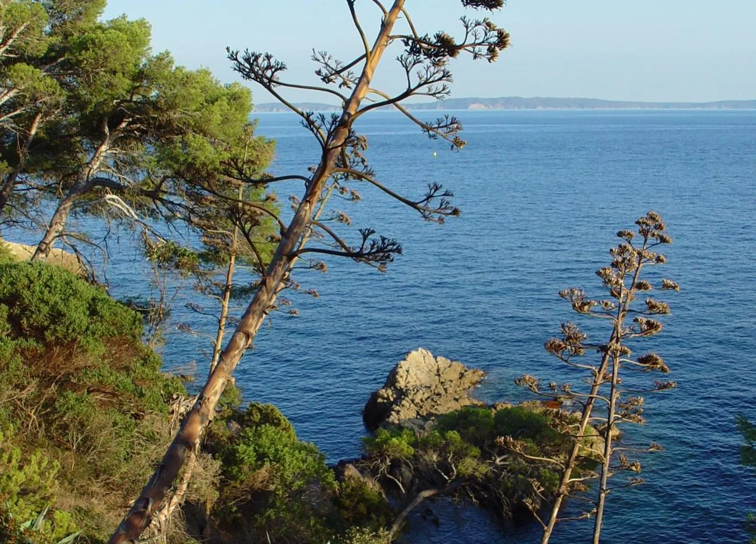 Les Alcyons Hotel Le Lavandou
